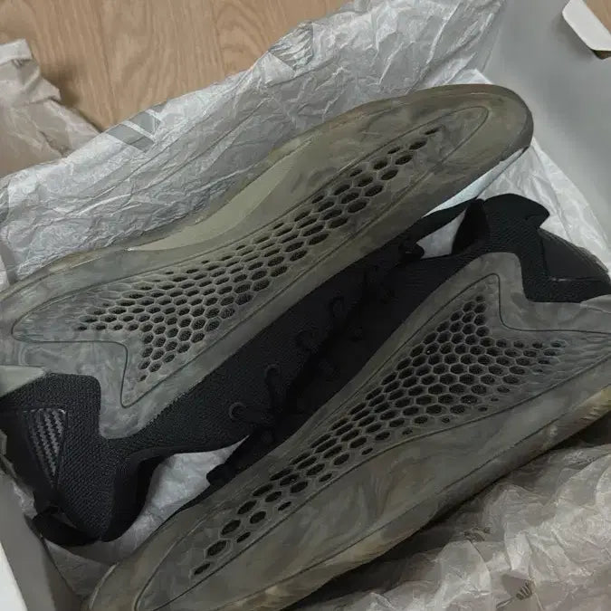 [BUNJANG] Adidas AE1 Low Ascent Basketball Shoes / adidas ae1 low ascent 270 시착2회