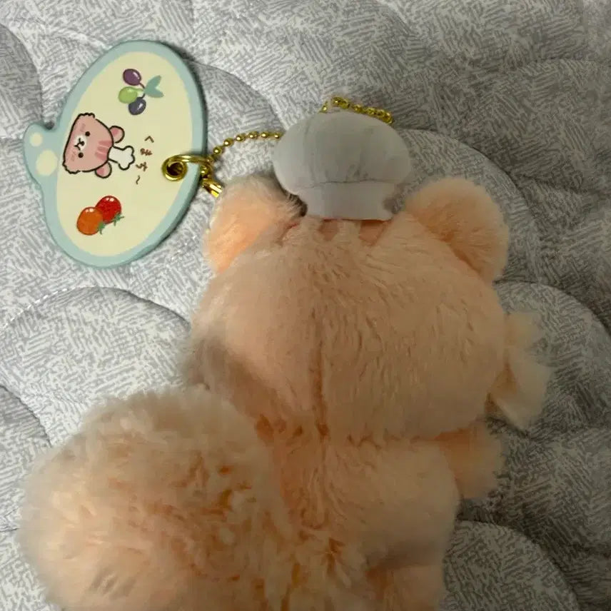[BUNJANG] Rilakkuma Minna de Manpuku Sakurako Risu Plush / 리락쿠마 민나데만부쿠 사쿠라노코리스 양도합니다
