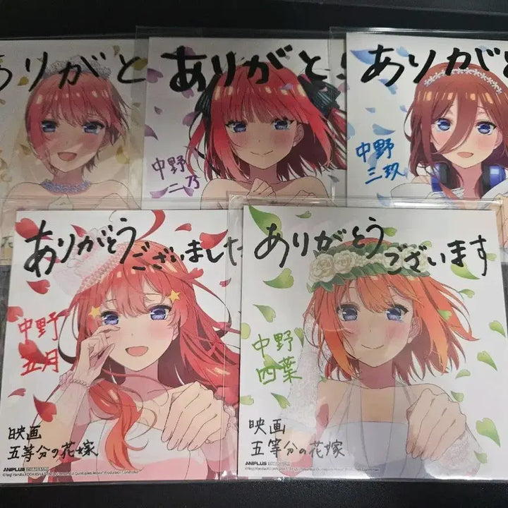 [BUNJANG] The Quintessential Quintuplets Movie Aniplex Shikishi Bundle Set / 5등분의 신부 극장판 애니플러스 색지 일괄