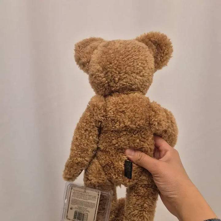 [BUNJANG] BoyzBear Plush Toy / 뽀글이 보이즈베어