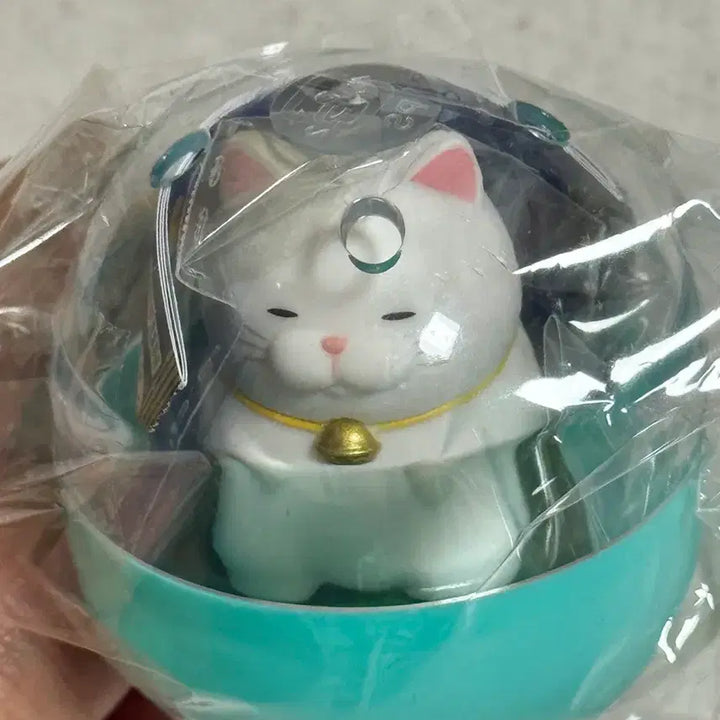 [BUNJANG] Hige Manju Cushion Series Hitori Gacha / 히게만쥬 방석 시리즈 히토리 새상품 가챠