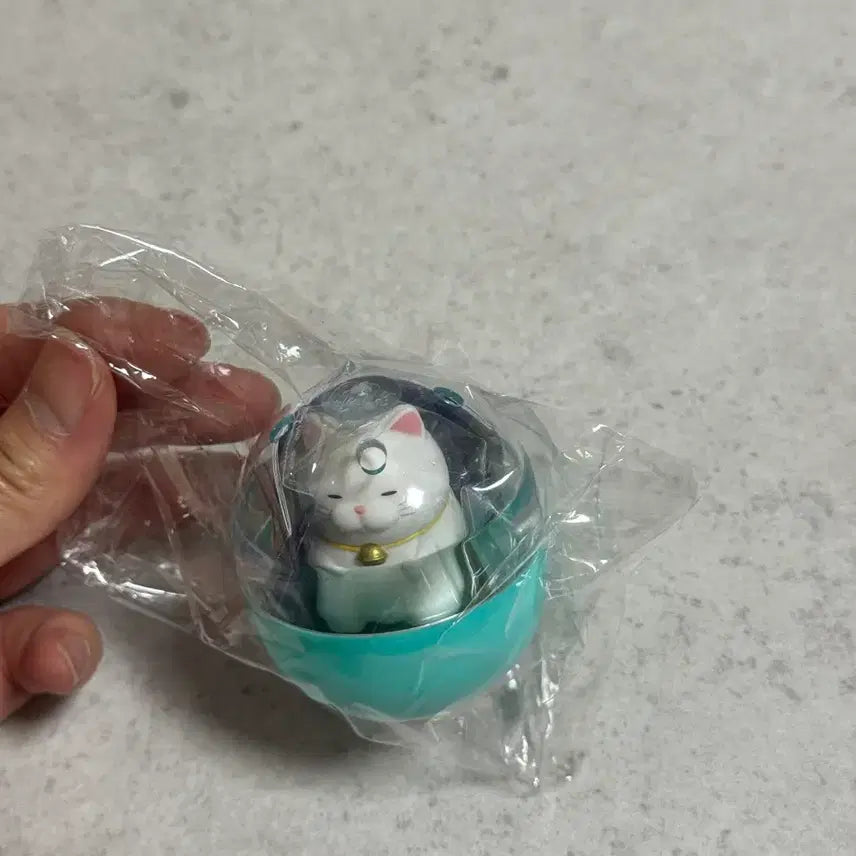 [BUNJANG] Hige Manju Cushion Series Hitori Gacha / 히게만쥬 방석 시리즈 히토리 새상품 가챠