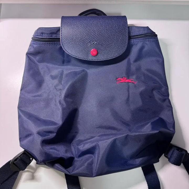 [BUNJANG] Longchamp Le Pliage Mini Backpack / 롱샴 르플리아쥬 미니 백팩