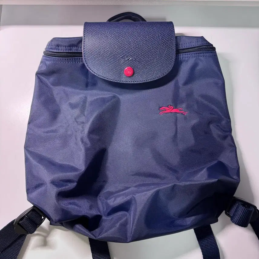 [BUNJANG] Longchamp Le Pliage Mini Backpack / 롱샴 르플리아쥬 미니 백팩