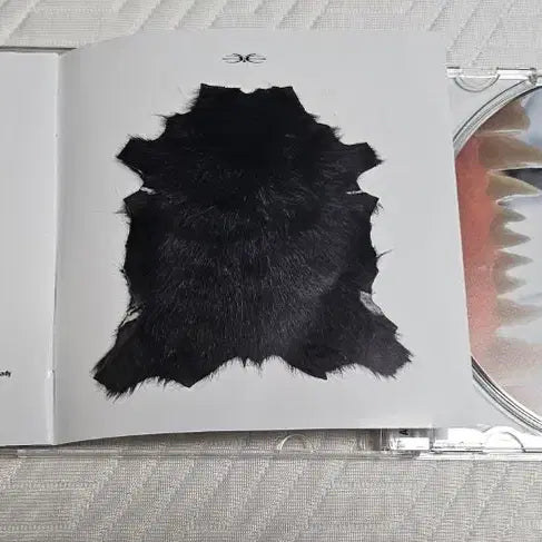 [BUNJANG] Viceversa ANIMAL FKRY Limited Edition Signed Album / 바이스벌사 ANIMAL FKRY 1000장 한정넘버링 싸인반