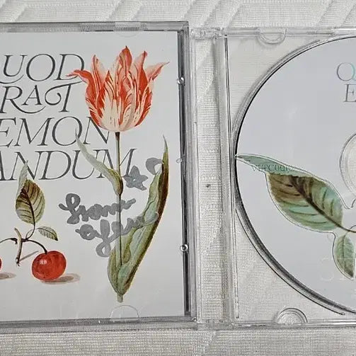 [BUNJANG] FROM EP Q.E.D Limited Edition CD (Tumblbug Exclusive) / 밤의 증명 프롬 EP Q.E.D 한정반 (텀블벅)