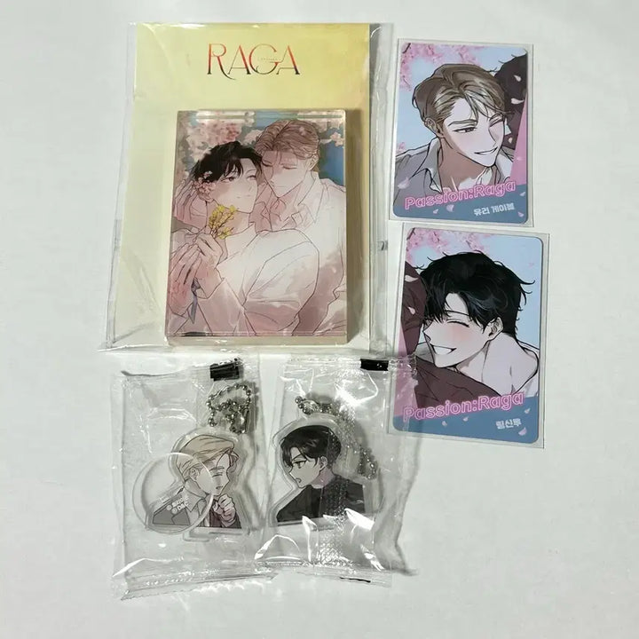 [BUNJANG] Noctua Fashion Raga Acrylic Stand Random Photocard Bundle Set / 녹티아 패션 라가 아크릴 스탠드 랜덤 포토카드 포카 일괄