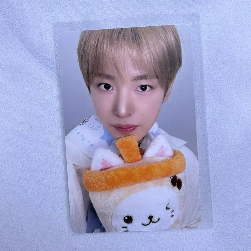 [BUNJANG] NCT WISH Bakery Pop-up Youshi Bubble Nyang Photocard / 엔시티위시 베이커리 팝업 7만원 포카 트레카 유우시 버블냥