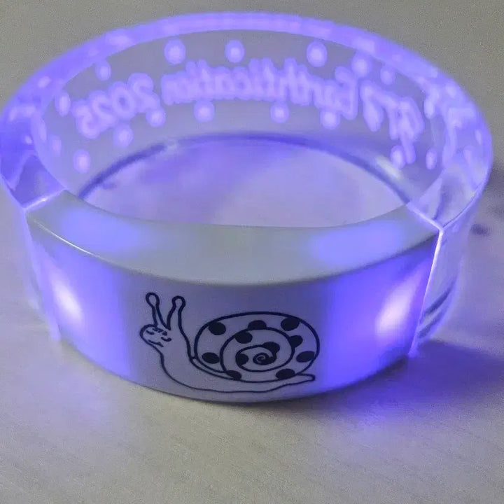 [BUNJANG] Minami LED Ring / minami 미나미 내한 굿즈 LED 링