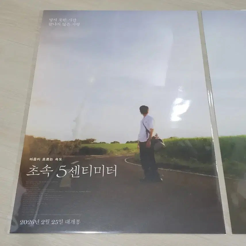 [BUNJANG] Initial D Takagi &amp; Kanae Poster 2-Set / [전용박스 안전포장] 초속5센티미터 포스터 2종 세트