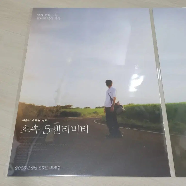 [BUNJANG] Initial D Takagi &amp; Kanae Poster 2-Set / [전용박스 안전포장] 초속5센티미터 포스터 2종 세트