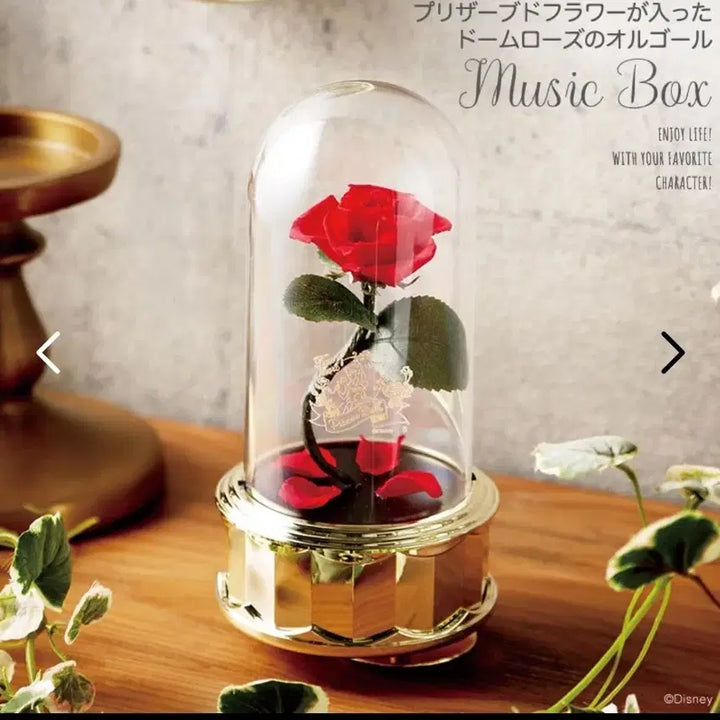 [BUNJANG] Disney Beauty and the Beast Rose Dome Music Box / 디즈니 미녀와야수 로즈돔 오르골