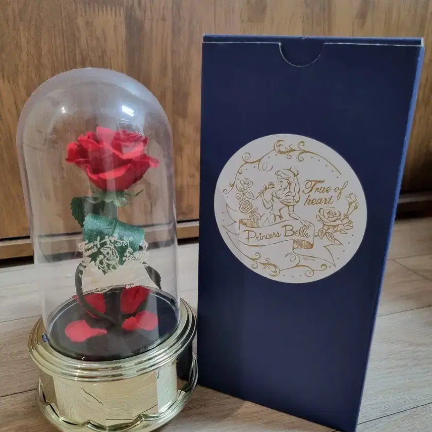 [BUNJANG] Disney Beauty and the Beast Rose Dome Music Box / 디즈니 미녀와야수 로즈돔 오르골