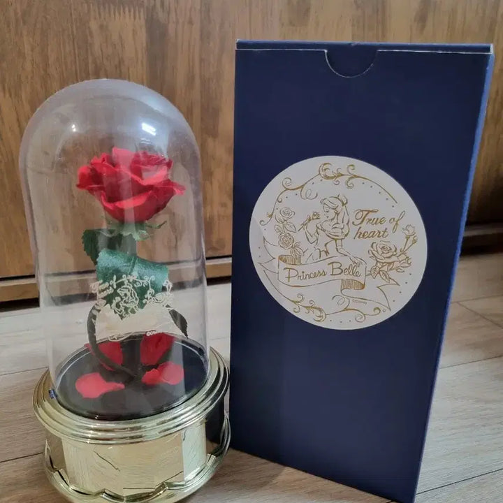 [BUNJANG] Disney Beauty and the Beast Rose Dome Music Box / 디즈니 미녀와야수 로즈돔 오르골