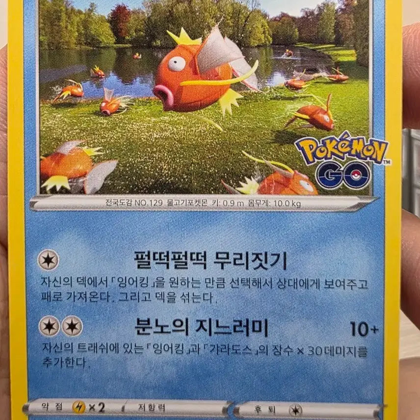 [BUNJANG] Pokemon GO Magikarp Pokemon Card / 포켓몬고 잉어킹 카드 포켓몬카드