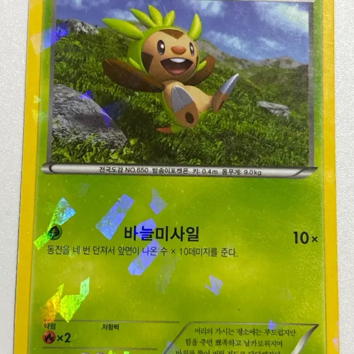 [BUNJANG] 2016 CP4 Chestnaught Pokemon Card / 2016 CP4 포켓몬카두 도치마론