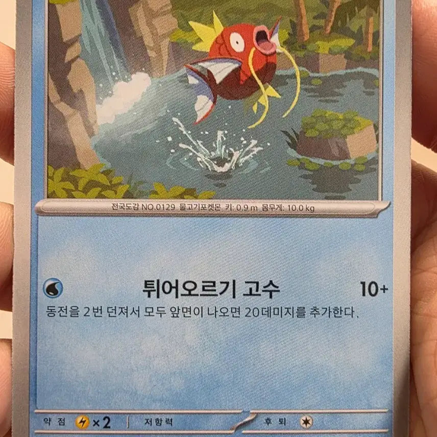 [BUNJANG] Pokemon Magikarp Card / 포켓몬카드 잉어킹 (Magikarp) 카드