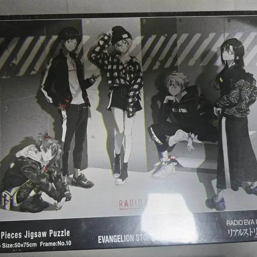 [BUNJANG] Radio Eva Evangelion Puzzle / 에반게리온 라디오 에바 (Radio eva) 퍼즐