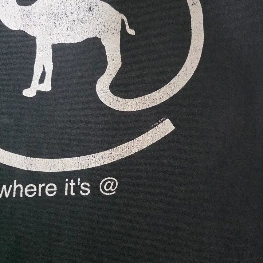 [BUNJANG] 90s Camel Where It&