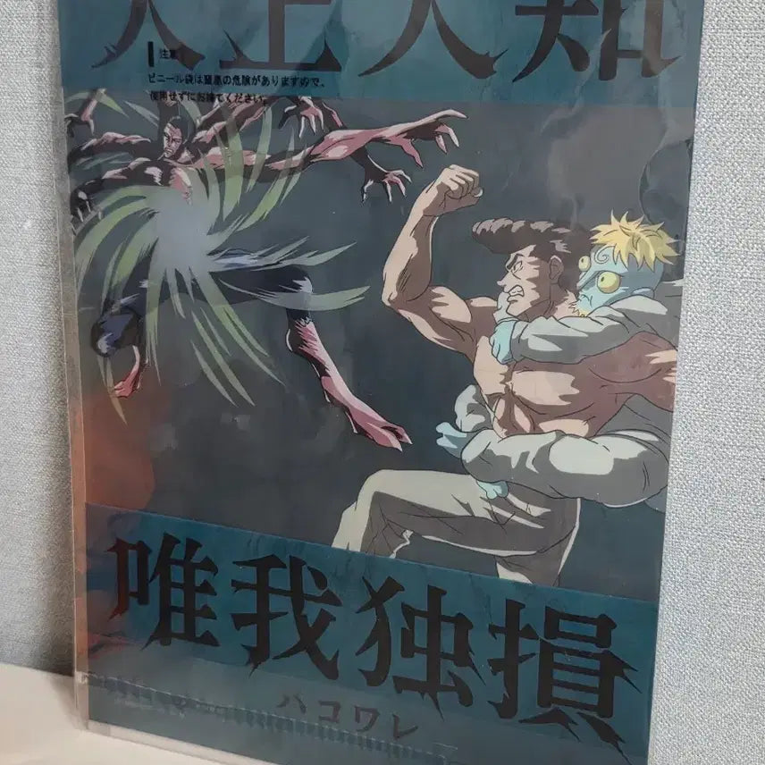 [BUNJANG] Hunter x Hunter Chimera Ant Arc Clear File / (새상품)헌터x헌터 클리어 파일