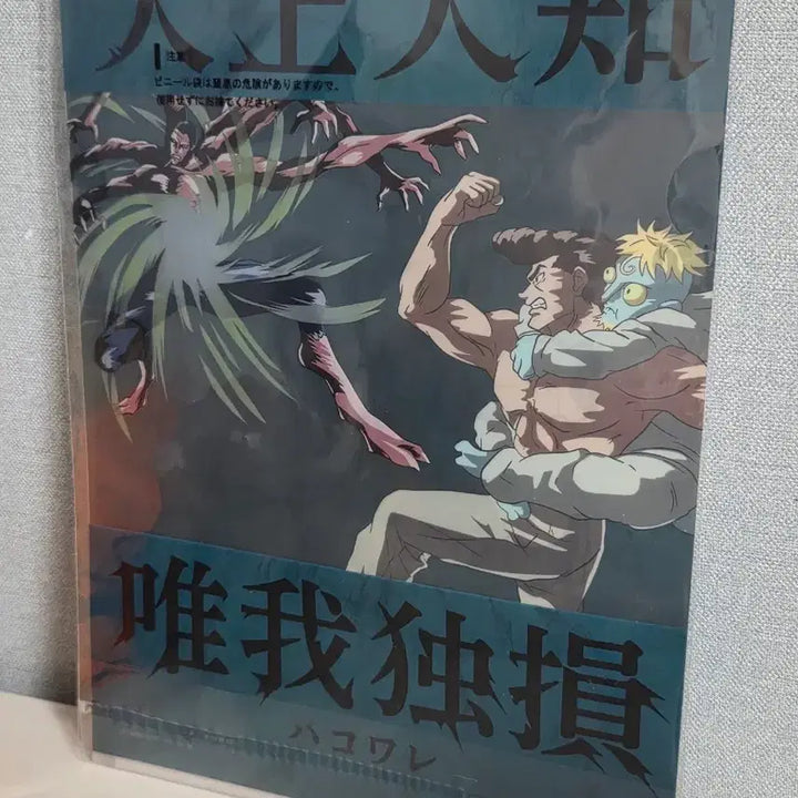 [BUNJANG] Hunter x Hunter Chimera Ant Arc Clear File / (새상품)헌터x헌터 클리어 파일
