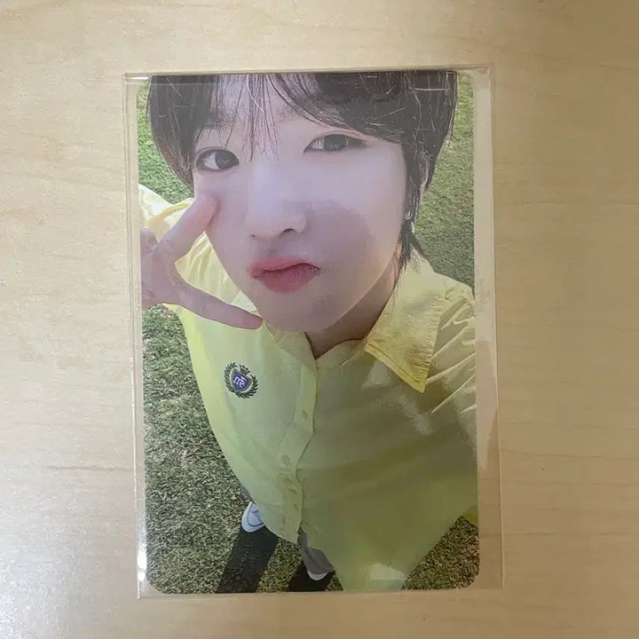 [BUNJANG] NCT WISH Pop-up Dear My Muse Sakuya Lucky Draw Photocard / 엔시티위시 팝팝 디어마이뮤즈 럭키드로우 사쿠야 포토카드 포카