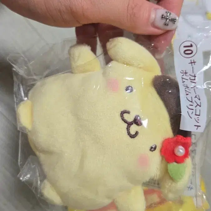[BUNJANG] Sanrio Pompompurin Lottery Bundle Set / 폼폼푸린 쿠지 세트 일괄판매합니다