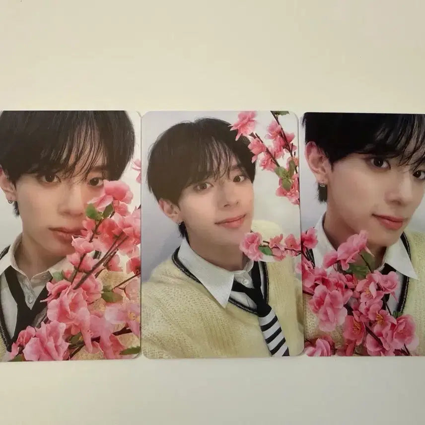 [BUNJANG] Kangmin Starlike Flower POB Photocard Set / 강민 미공포 스타라이크 꽃 양도