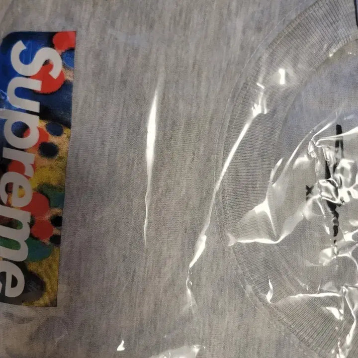 [BUNJANG] Supreme Sloan Box Logo T-Shirt / 슈프림 슬론 박스로고 반팔티