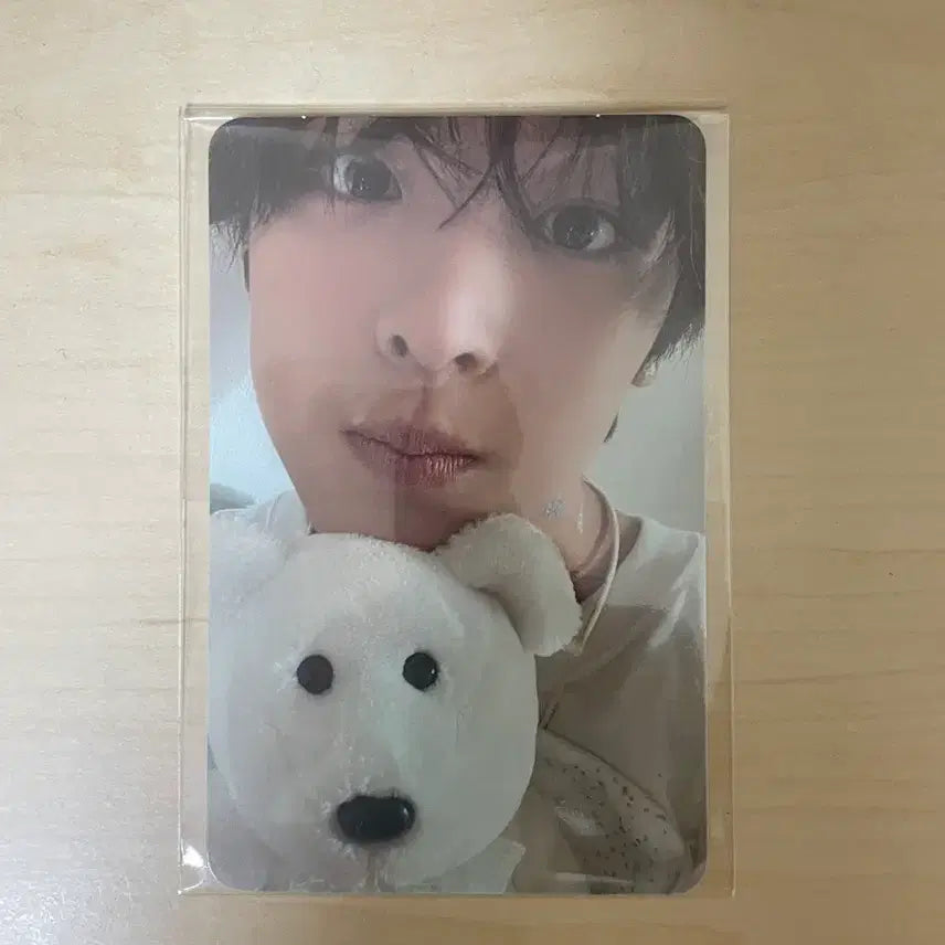 [BUNJANG] NCT WISH Riku Psyche Photocard / 엔시티위시 스테디 파인딩 프시케 리쿠 포토카드 포카 앨포