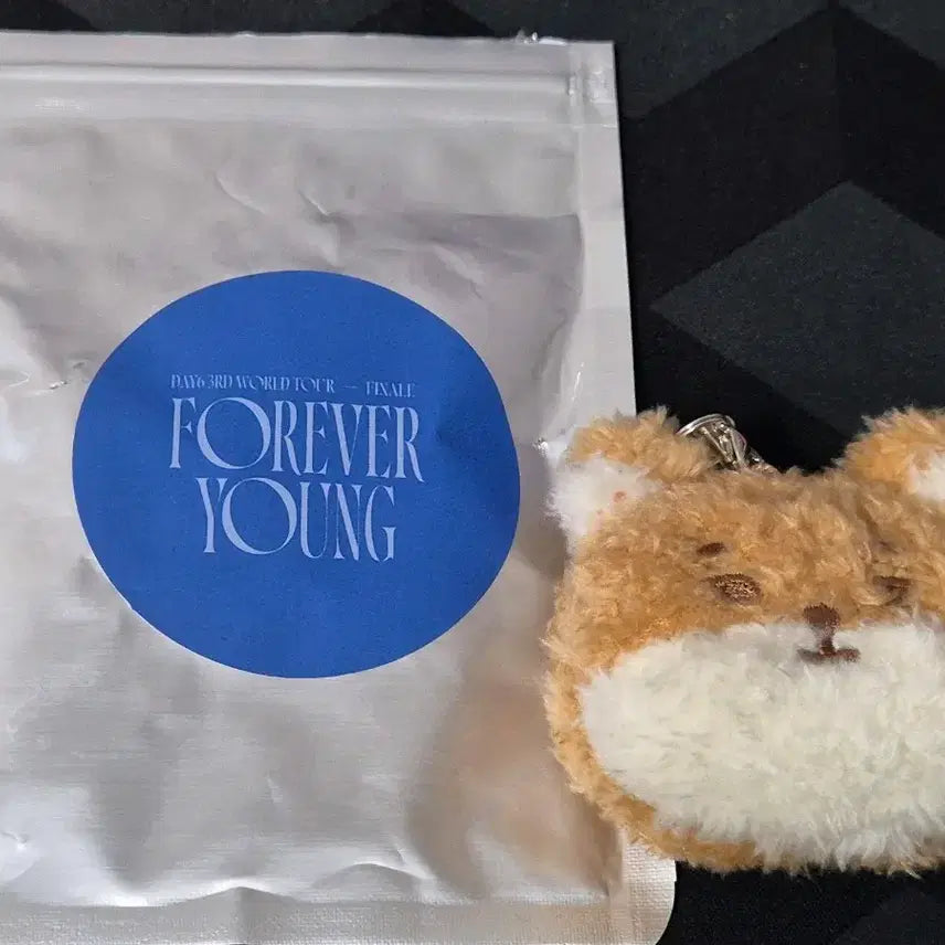 [BUNJANG] DAY6 Finale Encore Keychain Petite/Mulbe K Version / 데이식스 피날레 앙콘 페이스 키링 쁘멀 케