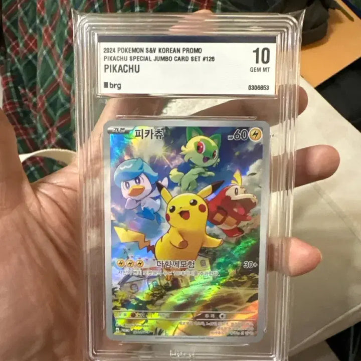 [BUNJANG] Pikachu Promo (Scarlet &amp; Violet) Graded 10 Trading Card / 피카츄 프로모 (포켓몬 카드) 10