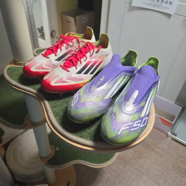 [SOLD OUT] 아디다스  F50 AG 축구화