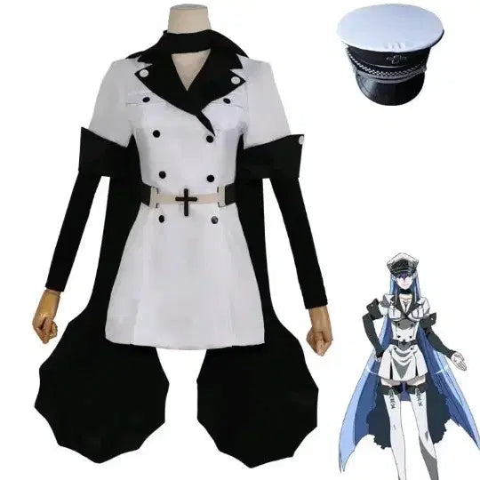 [BUNJANG] Esdeath Cosplay Costume / 레어 코스프레!! 에스데스 코스프레 의상