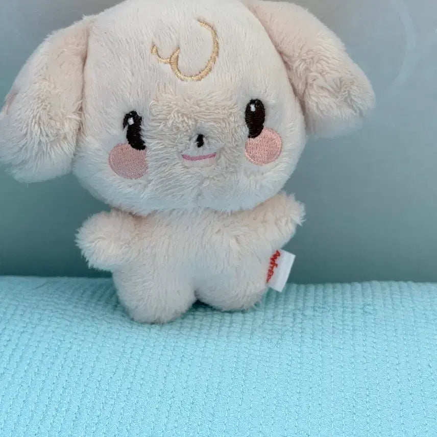 [BUNJANG] Anitiz Original Tiny Toodungie Plush / 애니티즈 오리지널 타이니 튜덩이
