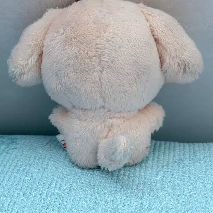[BUNJANG] Anitiz Original Tiny Toodungie Plush / 애니티즈 오리지널 타이니 튜덩이