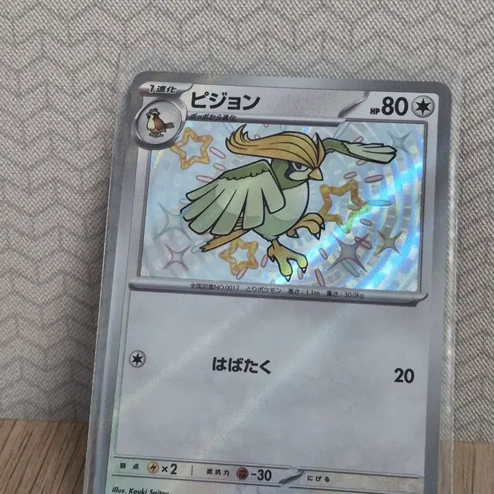 [BUNJANG] Pokemon Japanese Pidgeotto 305/190 Mint Condition / 포켓몬카드 일판 Pidgeotto 305/190 MINT