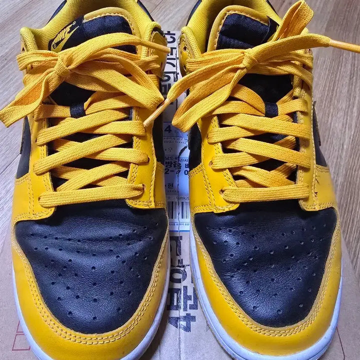 [SOLD OUT] 나이키 덩크로우 270