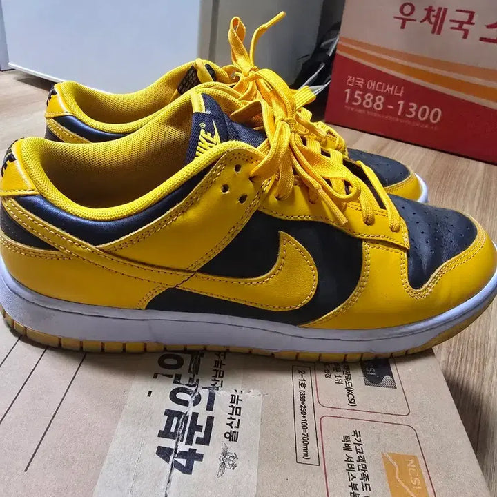 [SOLD OUT] 나이키 덩크로우 270