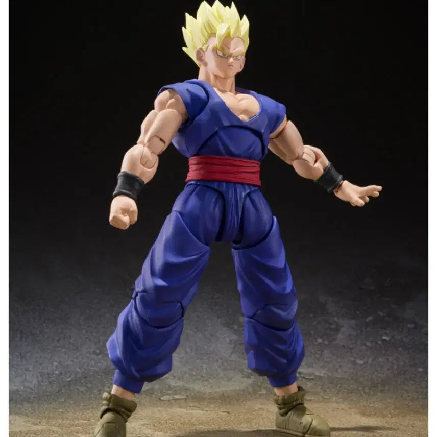 [BUNJANG] S.H.Figuarts Gamma 1 &amp; Ultimate Gohan Figure Set - Dragon Ball / shf 감마 1호 + 얼티밋 손오반 - 드래곤볼 shf 피규어 시리즈