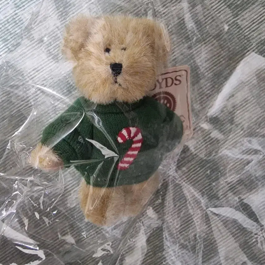 [BUNJANG] Boyds Bear Pokkomi Candy Cane Bear / 보이즈베어 뽀꼬미 캔디케인