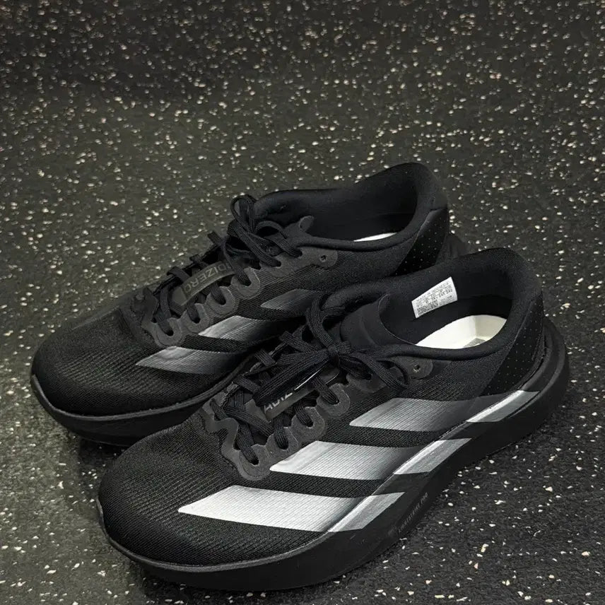 [BUNJANG] Adidas evo sl Running Shoes / 아디다스 evo sl 러닝화