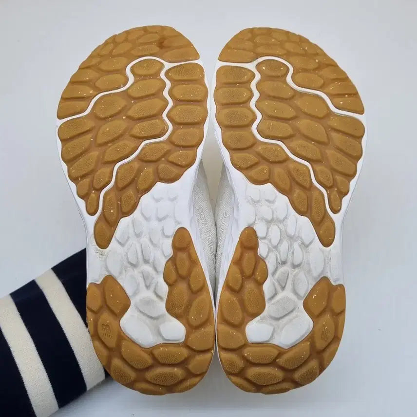 [BUNJANG] New Balance Fresh Foam Arishi Sneakers / 뉴발란스 프레쉬폼 아리쉬 운동화245