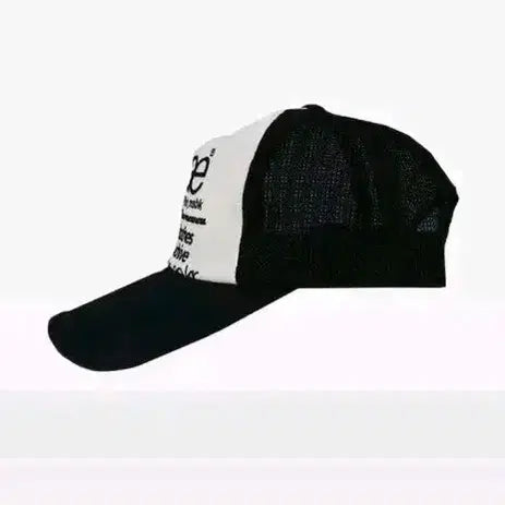 [BUNJANG] Aeae Web Logo Black Mesh Cap / aeae 웹 로고 블랙 메쉬캡 에이에이캡모자(배송비포함)