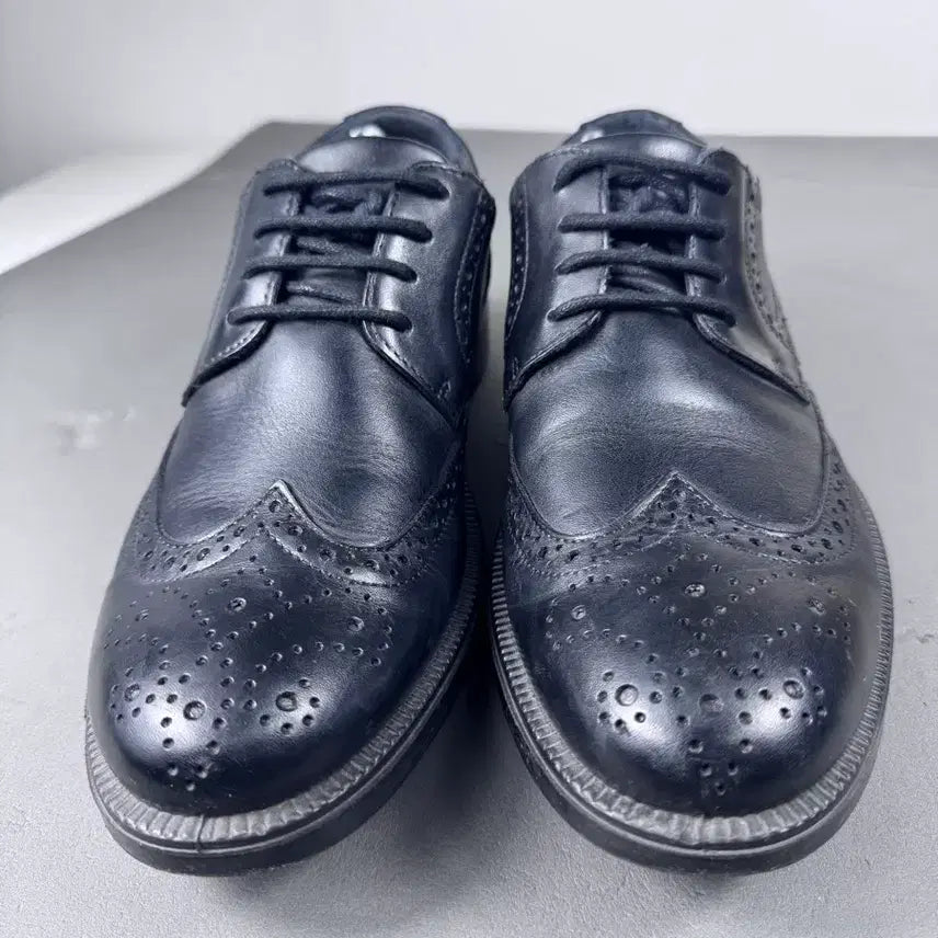 [BUNJANG] Italian Made Wingtip Brogues Black 250 / 이탈리아제 윙팁 구두 블랙 250