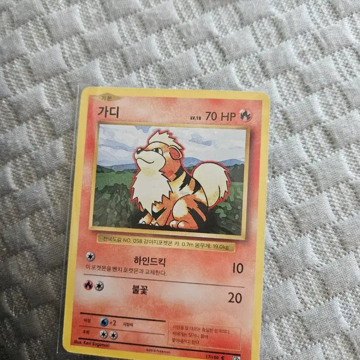 [BUNJANG] Charizard 20th Anniversary Card / 파이리 리자드 20주년 카드(가디 20주년 서비스)