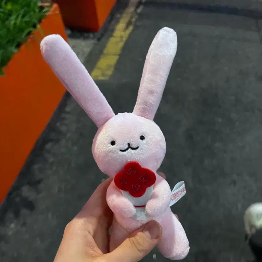 [BUNJANG] Ouran High School Host Club Chinese Plush Toy (Tosuni) / 오란고교호스트부 중국굿즈 누이 토순이