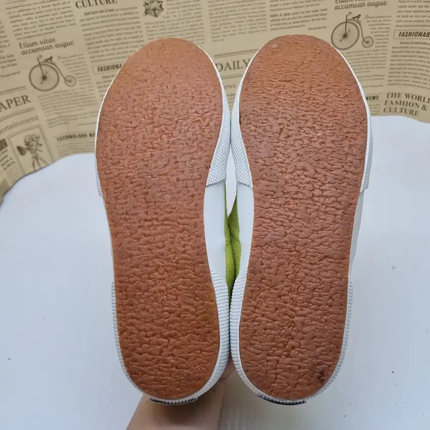[BUNJANG] Superga Lime Sneakers 250 / 수페르가 라임 스니커즈 250