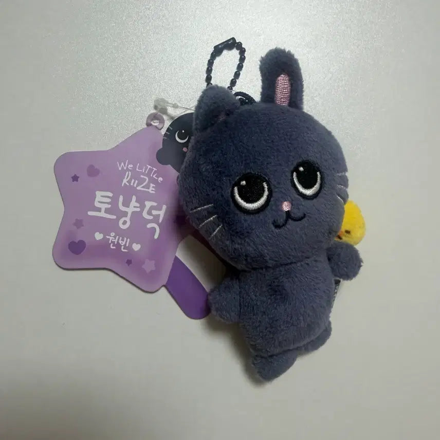 [SOLD OUT] 라이즈 원빈 토냥덕 8cm 인형