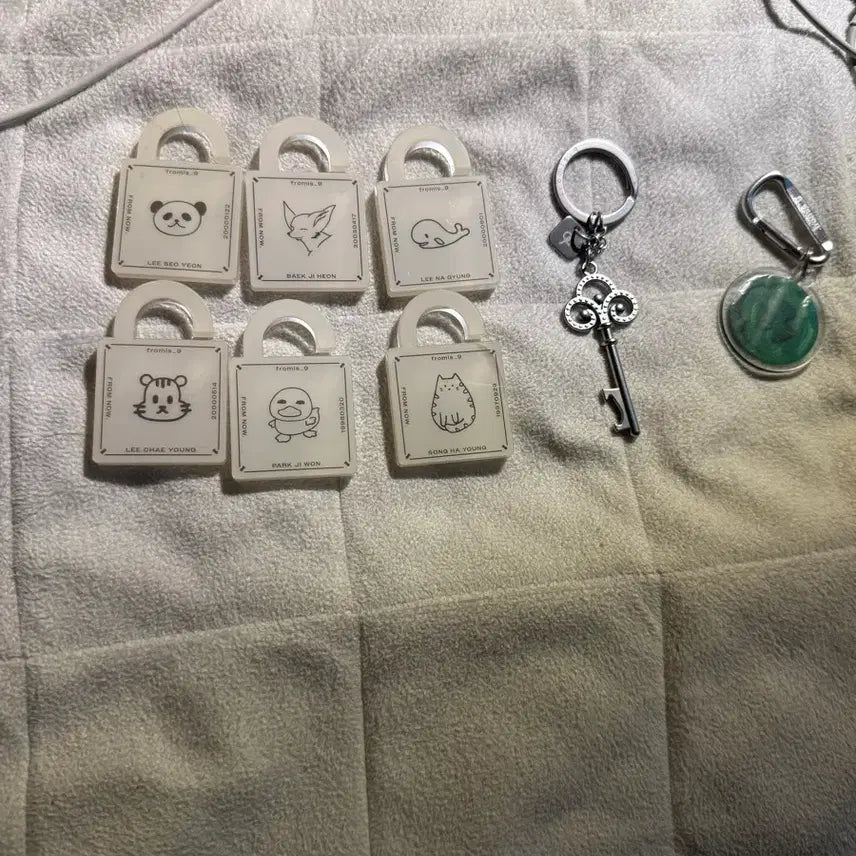 [BUNJANG] fromis_9 Member Keyring and Magnet Set / 프로미스나인 키링및 자석
